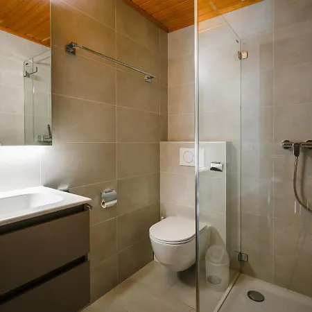 Apartment Jorasse C 20 By Interhome Ovronnaz
